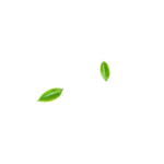 Danvy Pharma - Dược Mỹ Phẩm Chăm Sóc Cơ Thể Từ Thiên Nhiên - Bọt Vệ Sinh Anvie Organic 5 A1-parallax