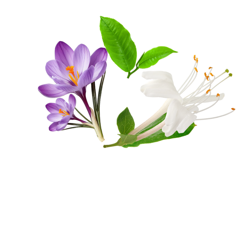 Danvy Pharma - Dược Mỹ Phẩm Chăm Sóc Cơ Thể Từ Thiên Nhiên - Bọt Vệ Sinh Anvie Organic 7 Alayer3-parallax