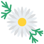 Anh Anvie Organic-cuc La Ma