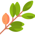 Anh Anvie Organic-labang