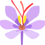 Anh Anvie Organic-nghetay