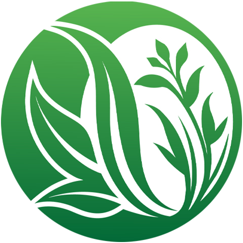 Danvy Pharma - Dược Mỹ Phẩm Chăm Sóc Cơ Thể Từ Thiên Nhiên - Bọt Vệ Sinh Anvie Organic 30 instagram-avatar