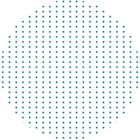 Danvy Pharma - Dược Mỹ Phẩm Chăm Sóc Cơ Thể Từ Thiên Nhiên - Bọt Vệ Sinh Anvie Organic 3 Img-3-14